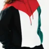 Palestine Flag Pullover Hoodie Front