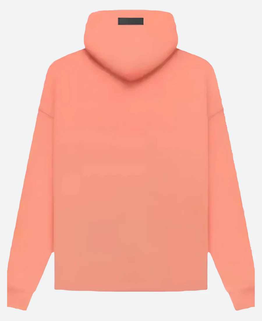 Coral Essentials Fear Of God Hoodie Back Image