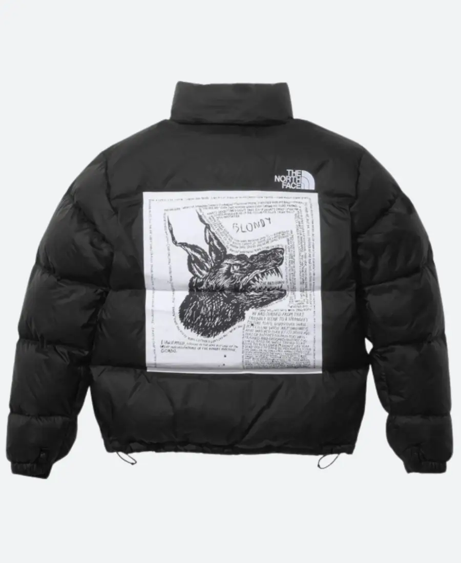 Supreme North Face Jacket