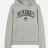 Palm Angles College Hoodie Front Image