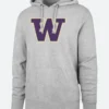 Bill Belichick Washington Huskies Hoodie Front Image