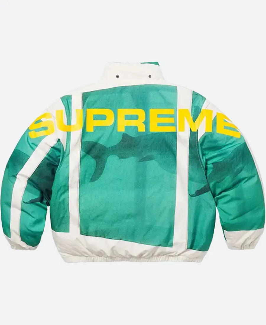 Supreme Damien Hirst Down Jacket