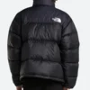 The North Face 1996 Retro Puffer jacket Back Image