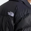 The North Face 1996 Retro Puffer jacket Back Zoom Image