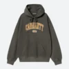 Carhartt Wip Library Hoodie