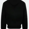 FELT Pullover Hoodie Back Image