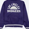 Los Angeles Dodgers Blue Varsity Jacket Back Image