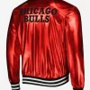 Chicago Bulls Metallic Varsity Jacket Back Image