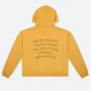 1-800-Boys-Lie Ariana Madix Hoodie Back Image