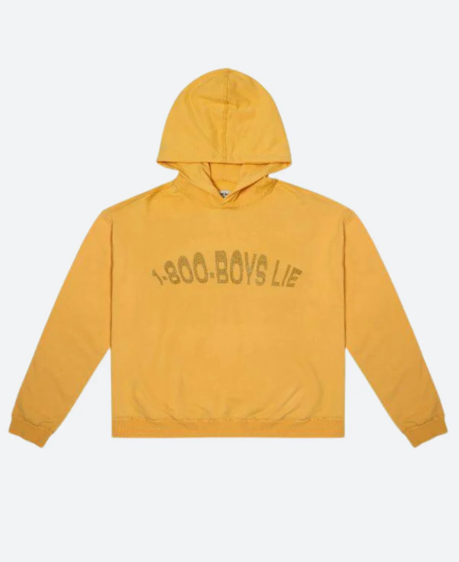 1-800-Boys-Lie Ariana Madix Hoodie Front Image