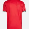 25_26 Manchester United Jersey Back Image