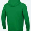 Notre Dame Fighting Irish All Fight Hoodie Green Back Image