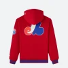 OVO New Era Expos Hoodie Back Image