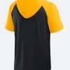 Pittsburgh Steelers Hooded T-Shirt Back Image