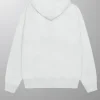 Stussy Wes Wings Hoodie Green Front Image