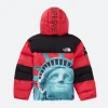 Supreme X The North Face Statue of Liberty Puffer Jacket Back Image