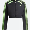 Teamgeist Adicolor Track Jacket Black Front Image
